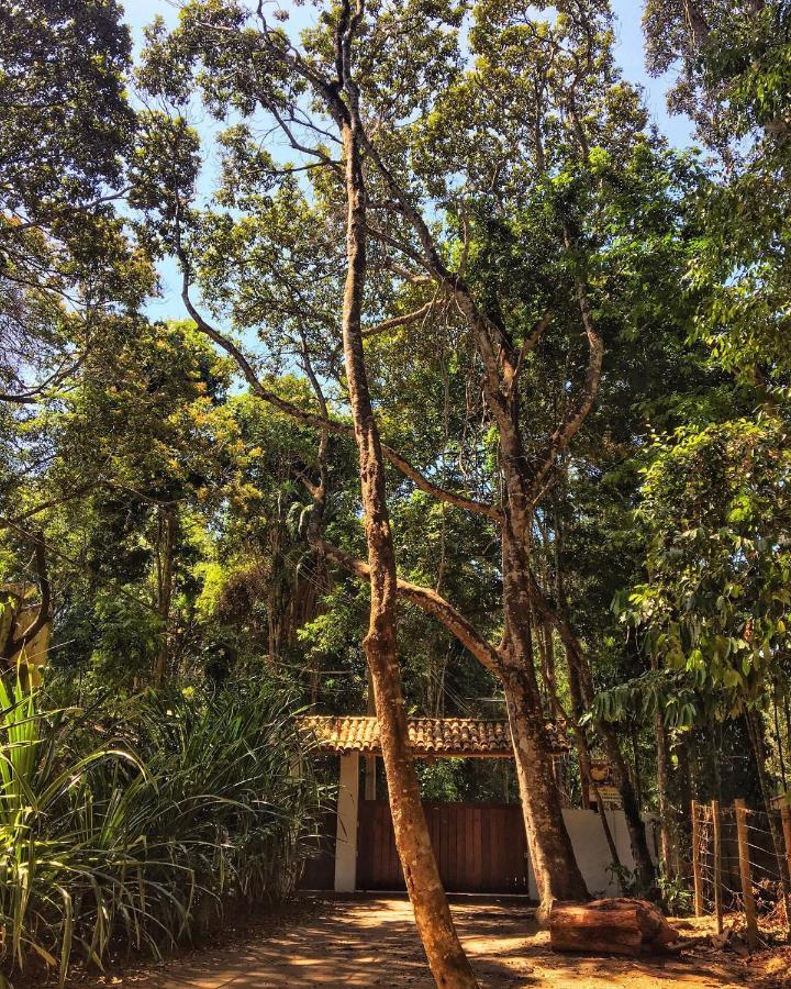 Vivertrancoso Hotel Bagian luar foto