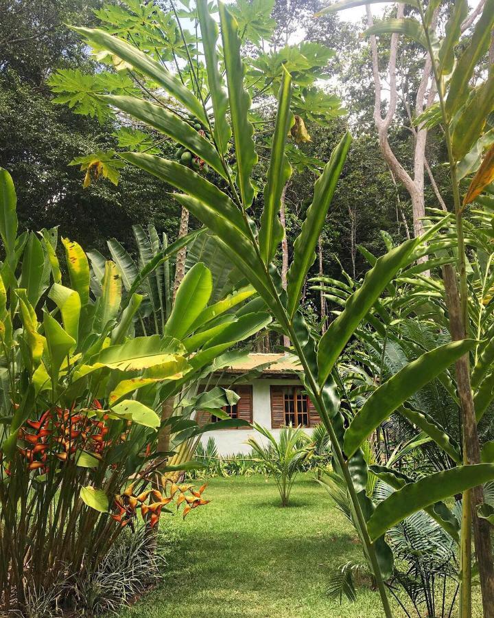Vivertrancoso Hotel Bagian luar foto